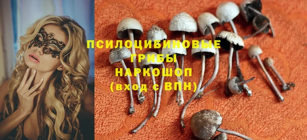 ешки Алзамай