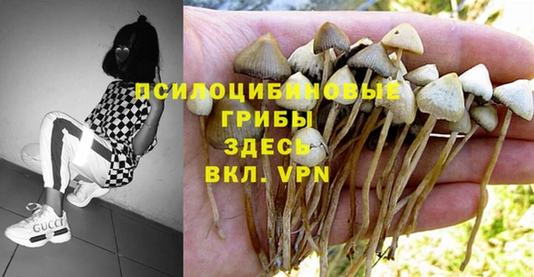 ешки Алзамай