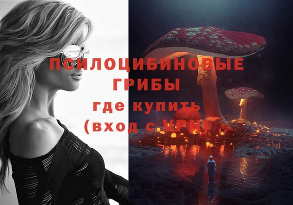 ешки Алзамай