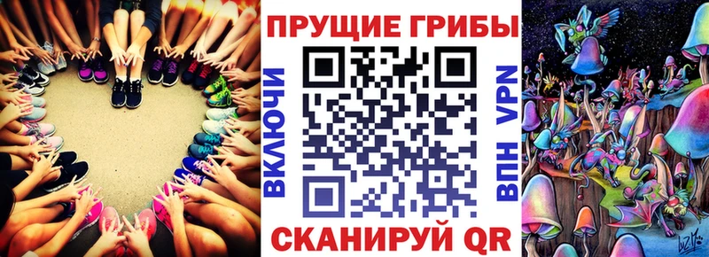 Псилоцибиновые грибы Psilocybe  Навашино 